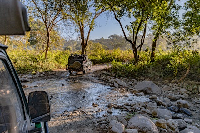 himalyan Hikers